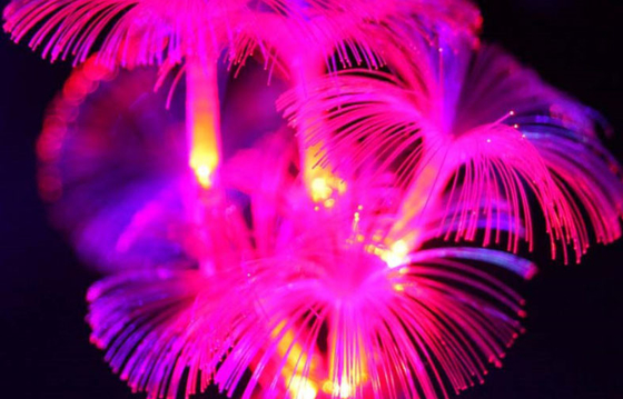 CE Approved 106W Green Waterproof LED String Lights , Holiday Decoratve Light